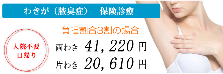 切開剪除法（保険診療）へ