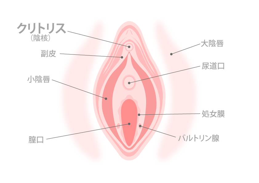 ナイロンクリトリス 