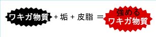 わきが(ワキガ)の仕組み2 わきが(ワキガ)の仕組み2