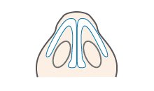 細い鼻イメージ
